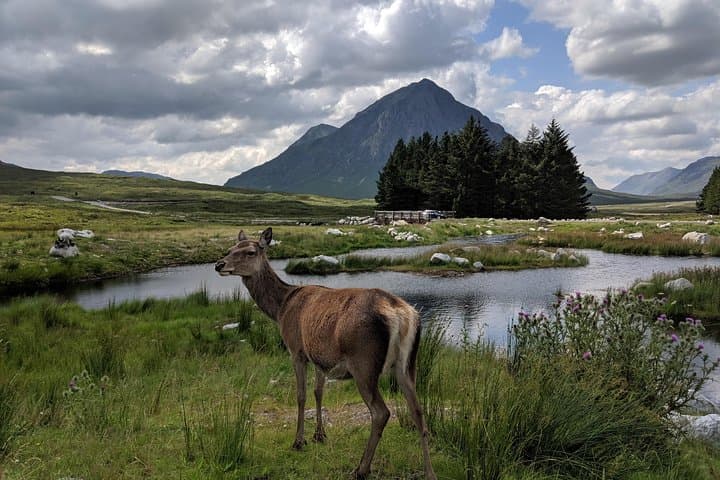 Highlands Private One Day Tour of Scotland