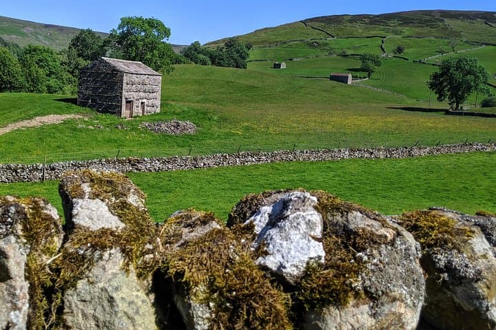 Cowhouse in the Dales