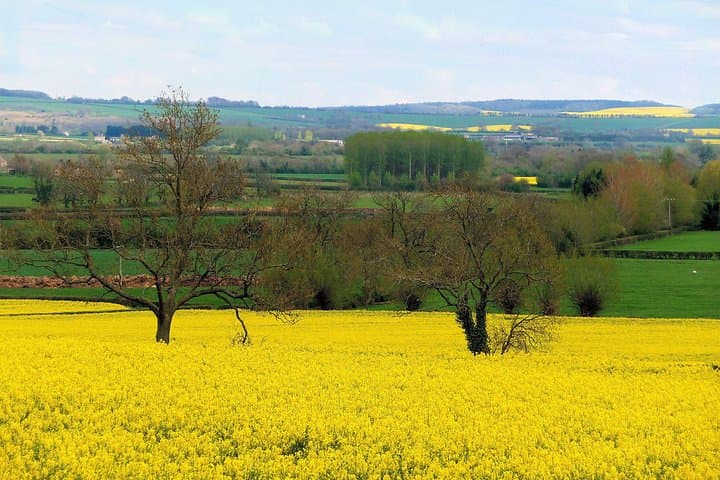 Tour of Oxford, Stratford, Cotswolds with Spanish-Speaking Guide