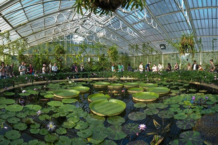 Waterlily House, Kew