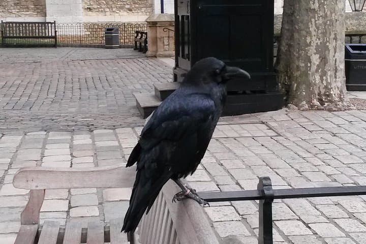 Tower of London and Tower Bridge Private Tour