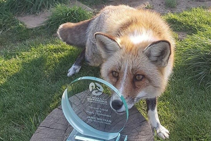 Ark Wildlife Park and Exotic Animal Sanctuary Family Entry for 4