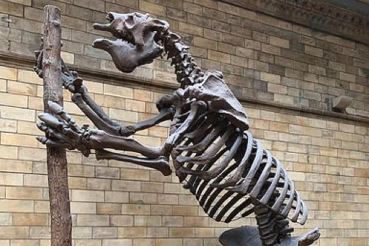 Natural History Museum, London