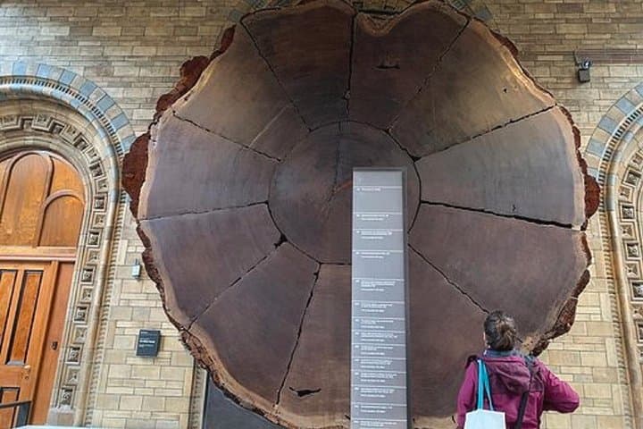 Natural History Museum, London