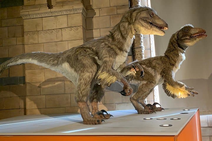 Natural History Museum, London