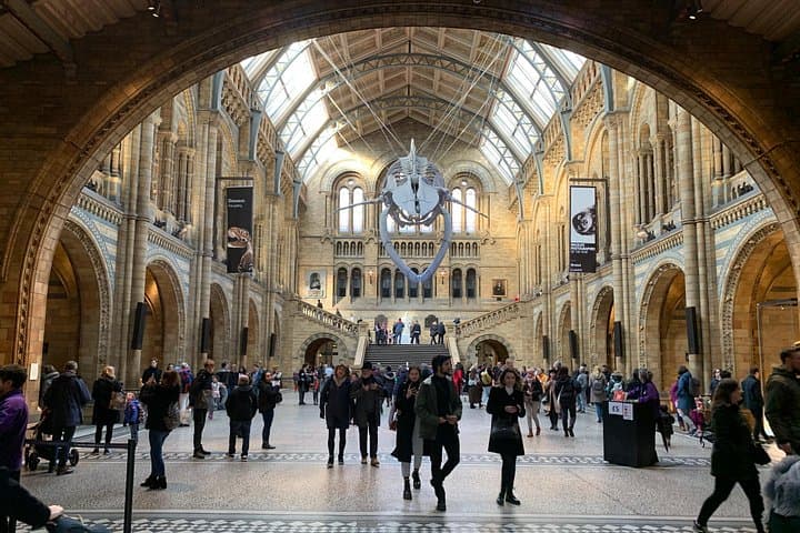 Natural History Museum, London