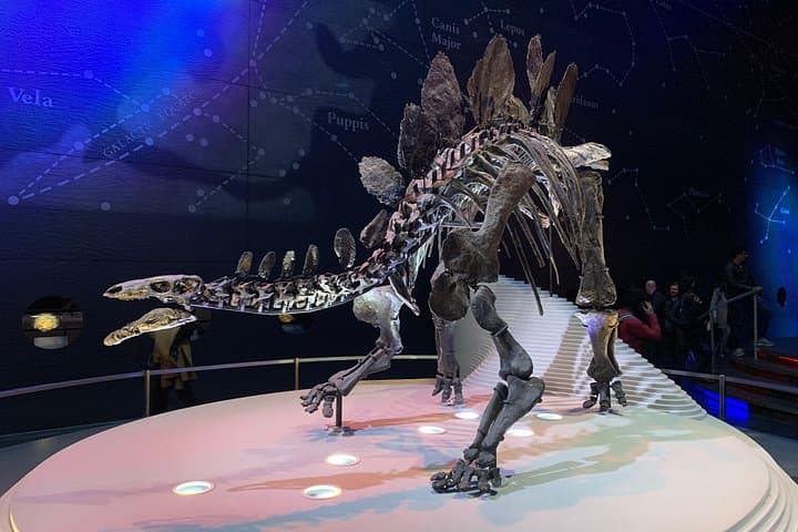 Natural History Museum, London