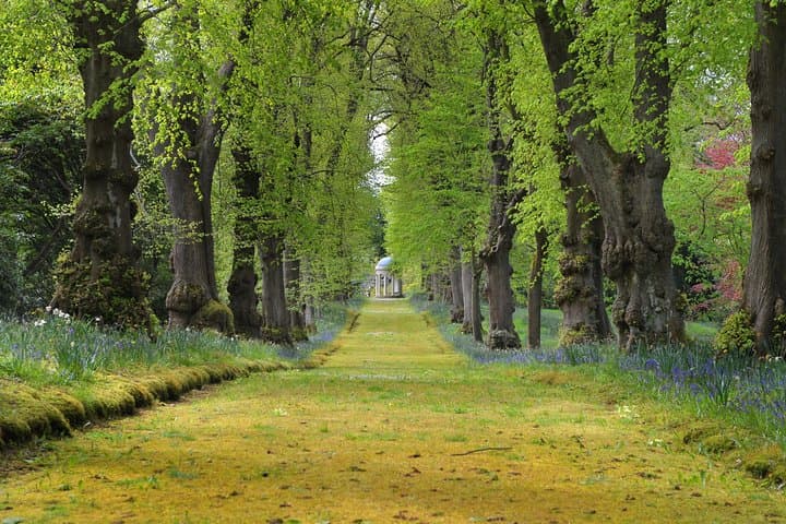Hillsborough Castle and Gardens Admission