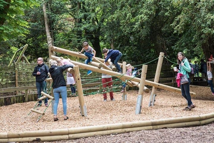 Waddesdon's Woodland Playground keeps children entertained