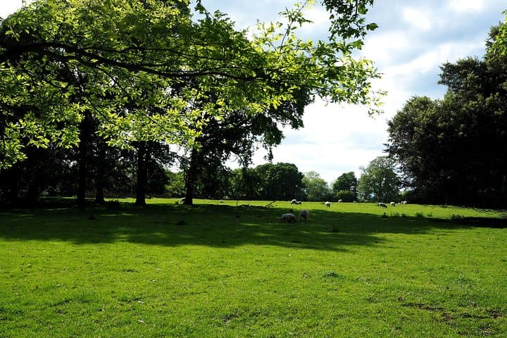 London to Cotswolds Day Tour