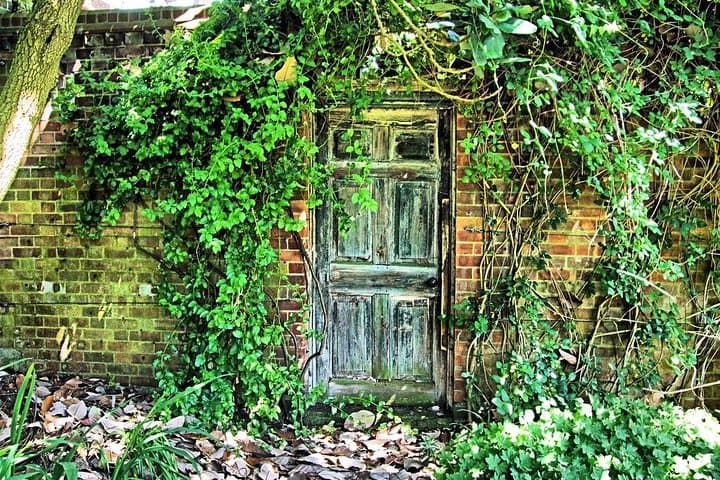 The Secret Garden, Kew