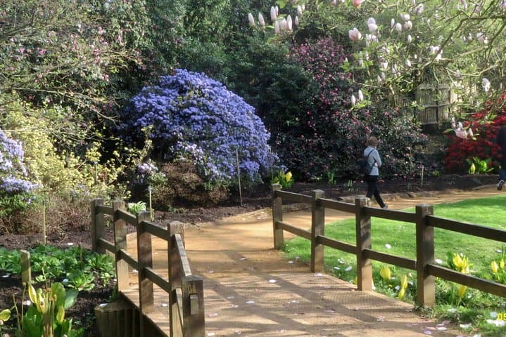 Savill Garden