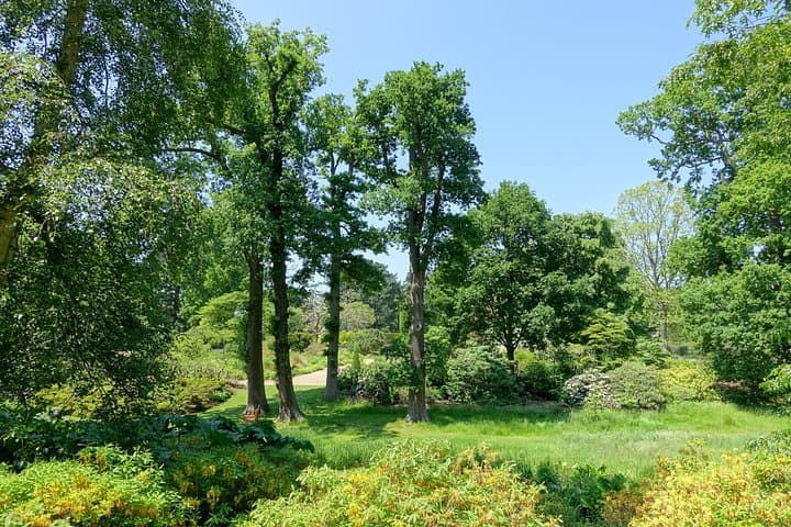 Savill Garden