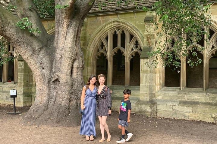 Checking out where Draco Malfoy sat in the tree!