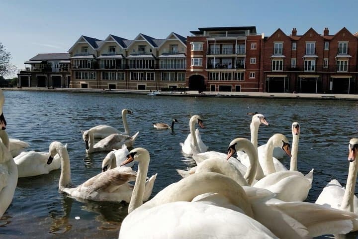 Private Windsor Roundtrip Transfer from London