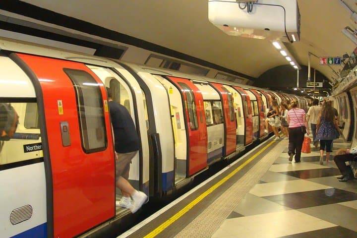 Essential London Full-Day Private Tour by Public Transport
