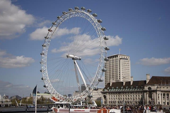 Private Half Day Tour of London with Private Driver + Separate Guide
