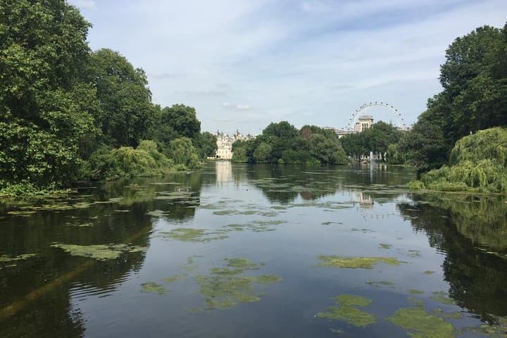 4 Day London Private Tour with Stay at English Host Family