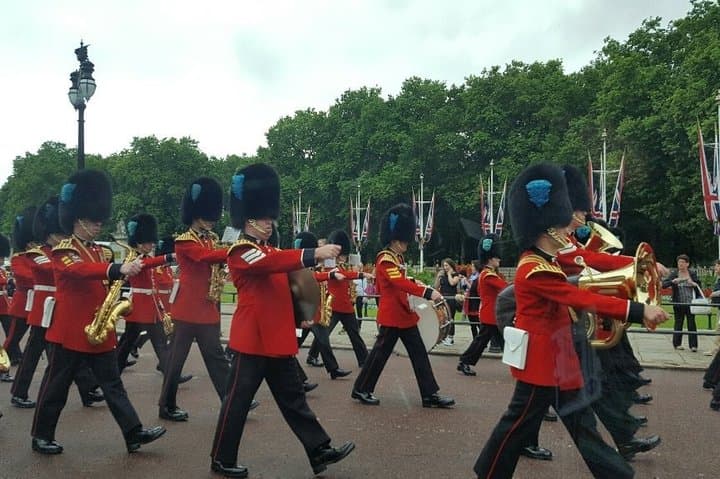 Buckingham palace guards - ATN cars