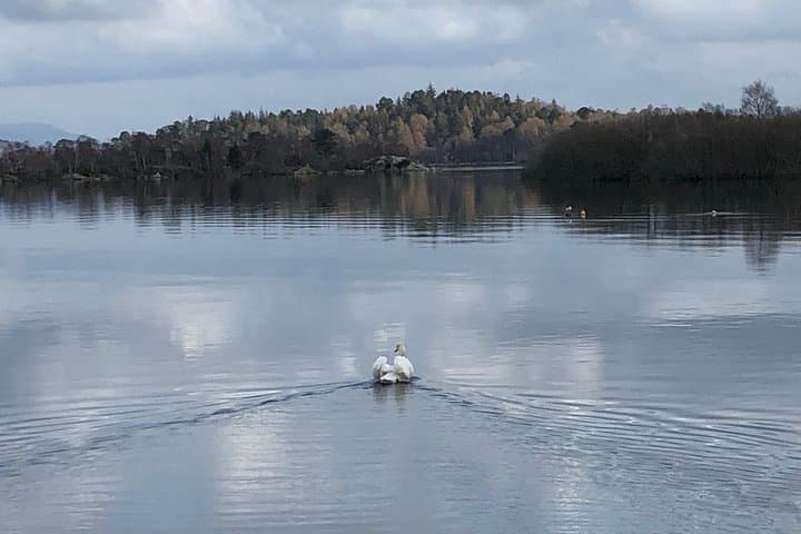 Luss