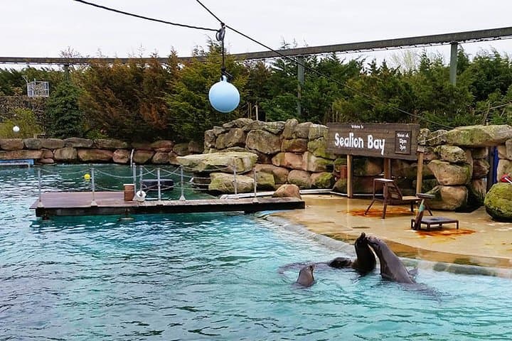 Chessington World of Adventures Independent Full Day Private Tour