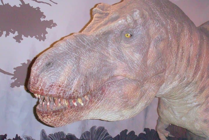 A Day at the Museum - Natural History Museum London