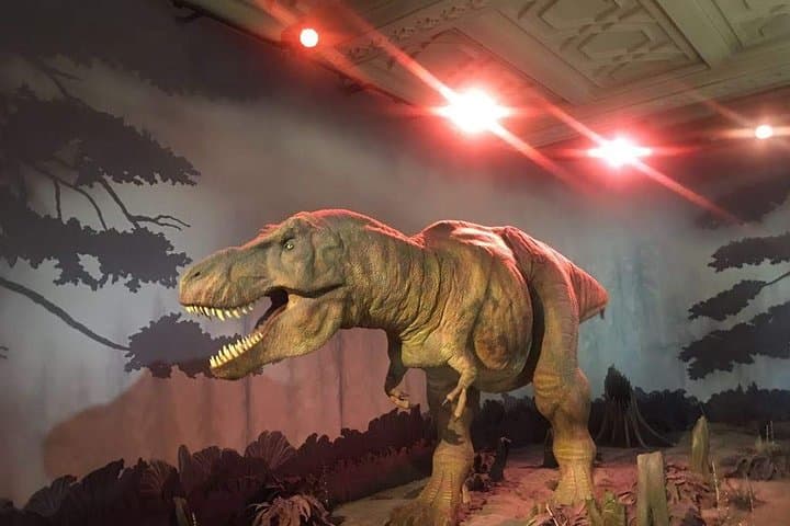 A Day at the Museum - Natural History Museum London