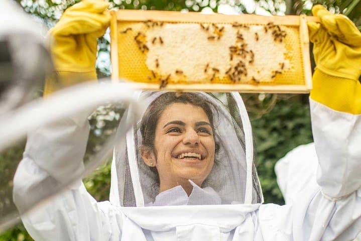 Discover active beehives in London