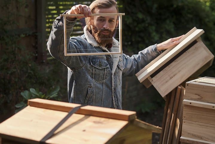 Discover active beehives in London