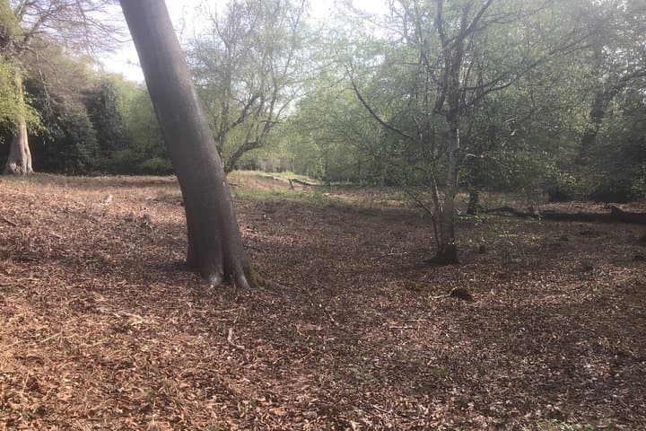 Grim's Dyke - An ancient earthworks possible 2300 years old!