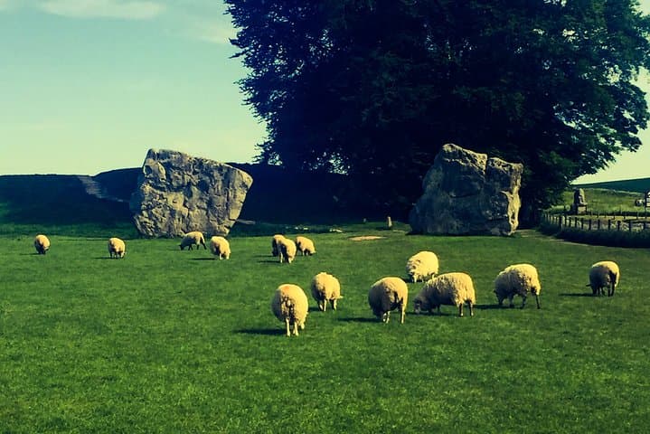 Avebury Stone Circle and sheep inside