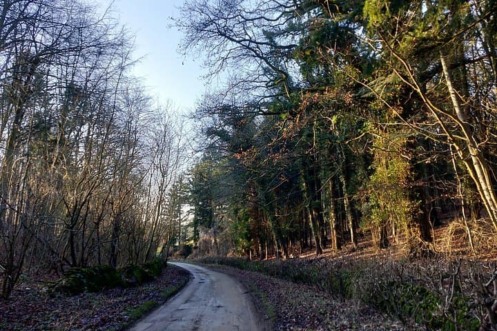 Cotswolds One Day Guided Walk - Private Groups