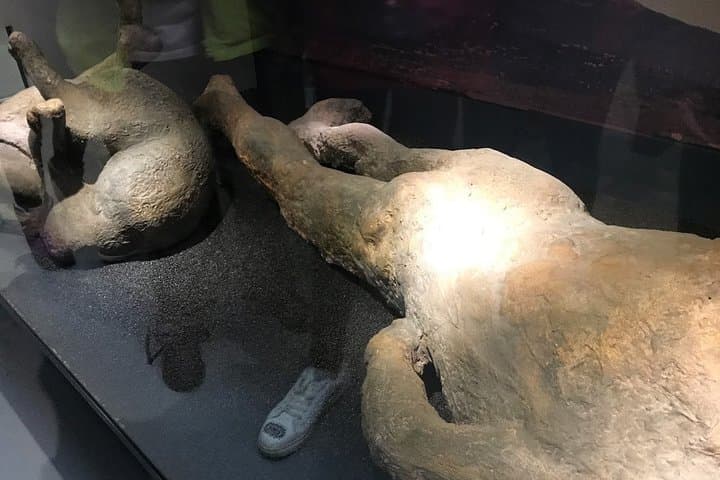 A Day at the Museum - Natural History Museum London
