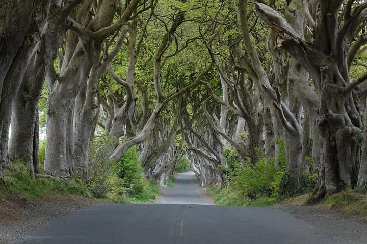 Private tour of Giant’s Causeway and Game of Thrones filming locations