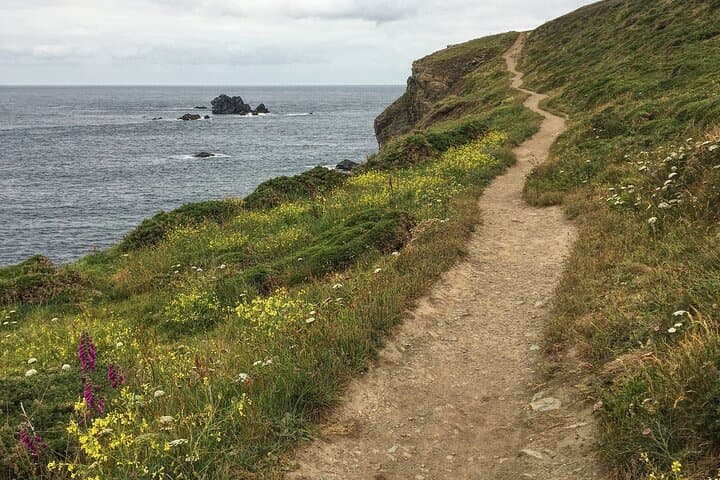 Lizard Point: A Self-Guided Photography Tour