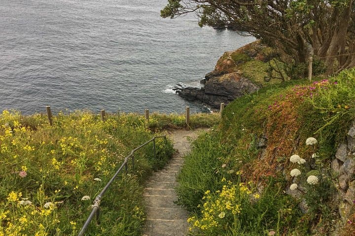 Lizard Point: A Self-Guided Photography Tour
