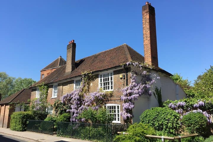 Wisteria