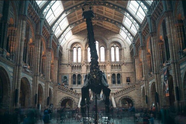 Visit London on a day trip with a Private & friendly guide