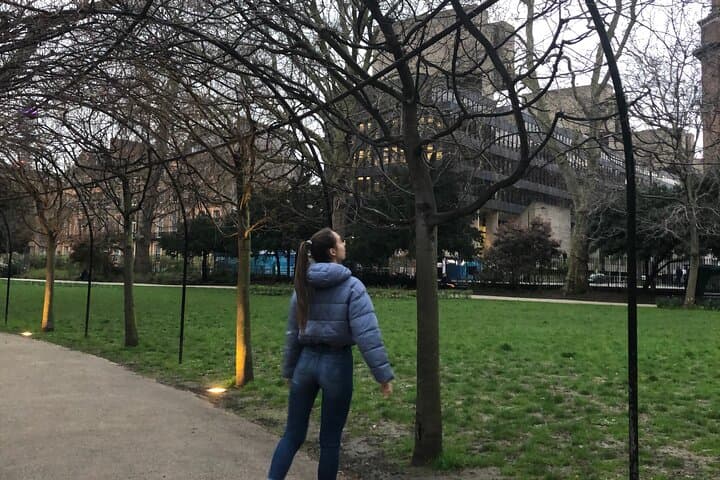 Private London Tour - British Museum, Trafalgar Square, Big Ben, Downing Street with Local Guide