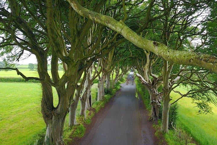 The Dark Hedges