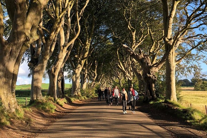 The Dark Hedges