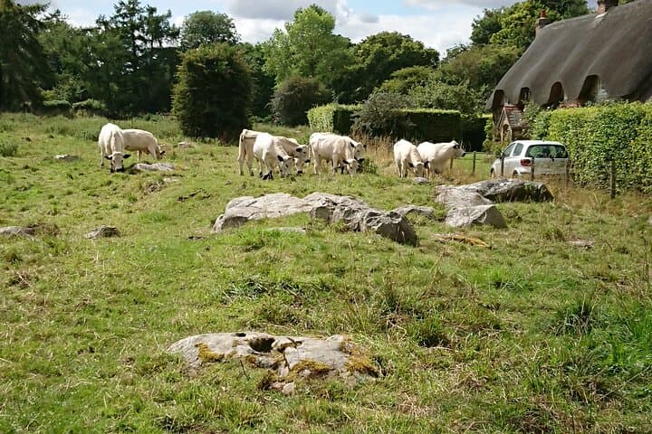 Stonehenge, Woodhenge, Avebury, West Kennet Long Barrow