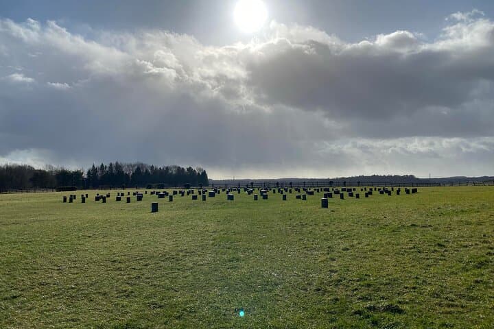 Bath&Beyond: (Full Day)Driver-Guided-Salisbury/Sarum/Stonehenge