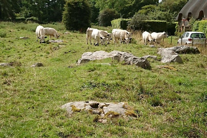 Stonehenge, Woodhenge, Avebury