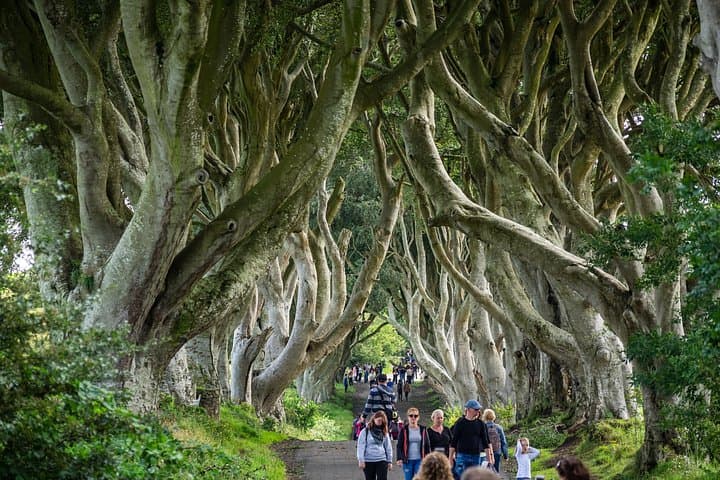 Private Giants Causeway Day Tour From Belfast