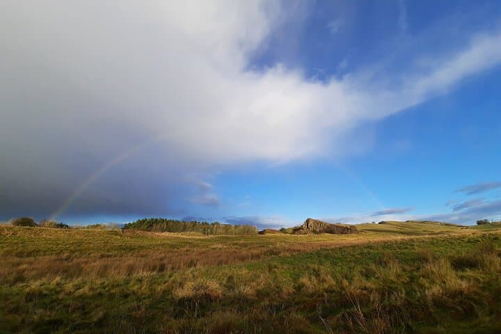 2 Hour Guided Tour of Hadrian's Wall