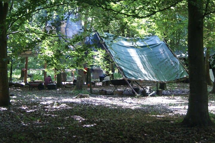 Beautiful woodland setting