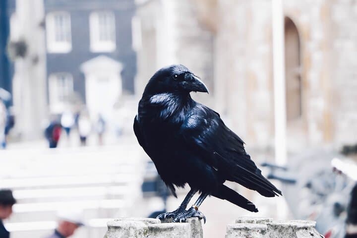 Ultimate Royal London: Tower of London & City of Westminster Tour