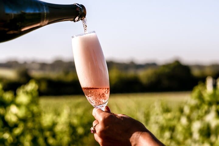 Owners vineyard tour and tasting at Oastbrook
