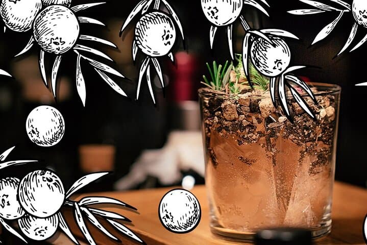 London Gin Craze - The Ultimate Gin Experience
